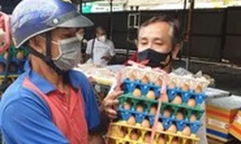 Xôn xao thông tin sản xuất trứng gà giả ở Việt Nam, Hiệp hội Gia cầm lên tiếng