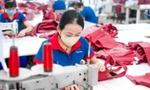 Một doanh nghiệp dệt may gần 40 năm tuổi ngừng gia công, chìm trong khó khăn