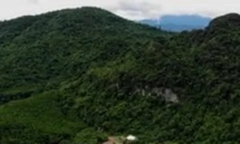 60 người vào rừng tìm người đàn ông mất tích khi đi săn mật ong