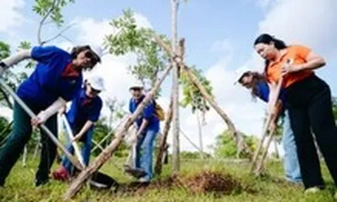 Kiều bào từ TP.HCM trồng cây, nhớ ơn Bác Hồ