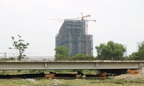 Đoạn Vành đai 2 “ngủ quên” giữa lòng TP Thủ Đức