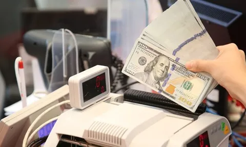 Mua, bán USD trái phép tại Việt Nam sẽ bị phạt nặng