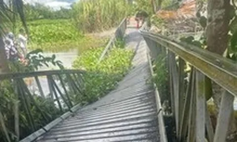 Xe chở cột bê tông quá tải làm cầu sụp xuống sông