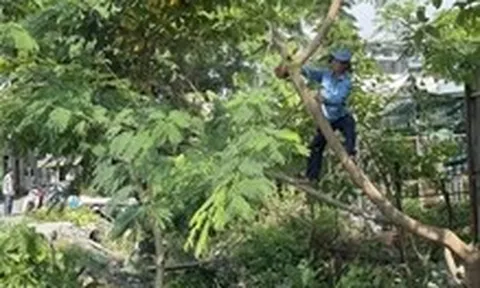 Phát quang, nạo vét tuyến kênh Tân Trụ và Hy Vọng