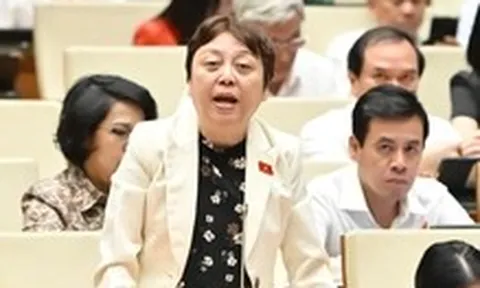 Đại biểu Quốc hội: Khó bắt quả tang nếu thanh tra công bố kế hoạch và rầm rộ thông tin trước