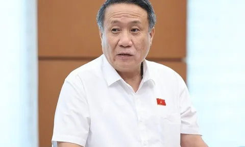Đại biểu Quốc hội: Có người lỗ hàng trăm triệu trong vài ngày khi mua vàng