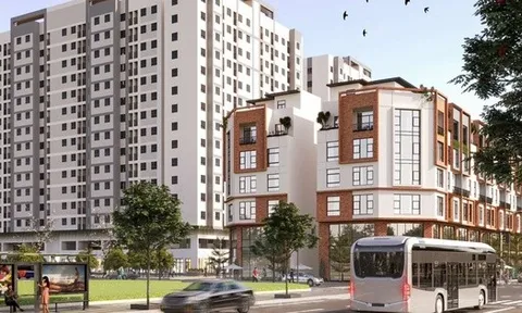 Hai "ông lớn" Viglacera và Kinh Bắc cùng lúc đổ bộ Đông Anh, muốn làm nhà ở xã hội tổng vốn hơn 16.000 tỷ đồng