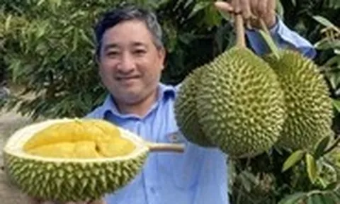 Bảy vấn đề của ngành sầu riêng cần khắc phục cấp bách