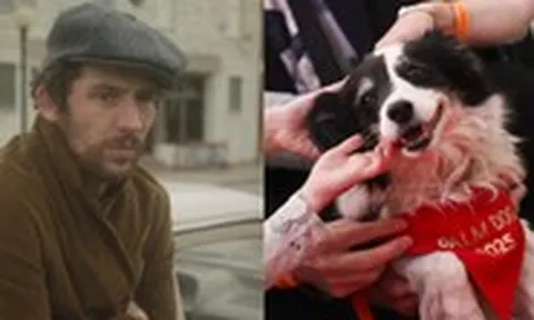 Cannes bước qua ngày cuối cùng với hai phim xuất sắc và giải Palm Dog danh giá