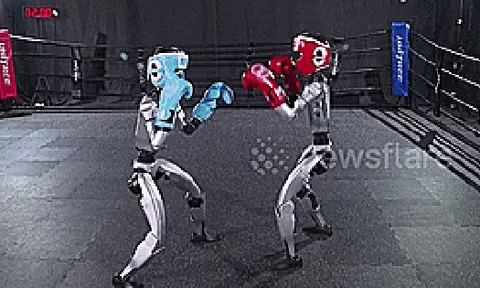 Robot hình người hăng say tập luyện trên võ đài, tung cú đấm như võ sĩ