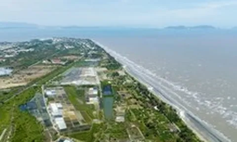 Nhiều chính sách được đề xuất để thể chế hóa nghị quyết 68 mở rộng cho tư nhân làm đường sắt