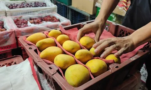 Xoài Trung Quốc tràn ngập chợ