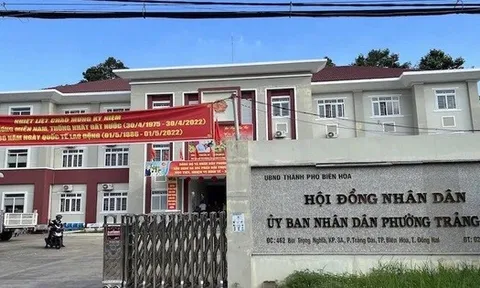 Bà Dương Kim Trúc phụ trách điều hành “siêu phường” Trảng Dài sau khi chủ tịch bị bắt