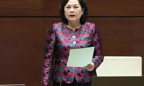 Thống đốc Nguyễn Thị Hồng: Cho vay đặc biệt lãi 0% khi ngân hàng bị rút tiền hàng loạt