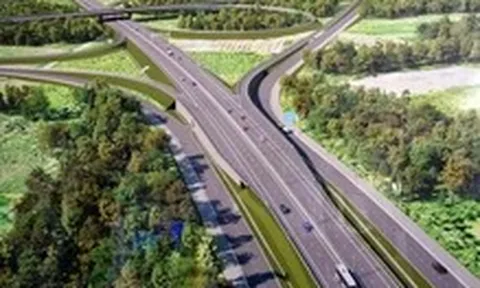 Tổ chuyên gia đánh giá Tập đoàn Sơn Hải trượt thầu vì 'không đạt kỹ thuật'