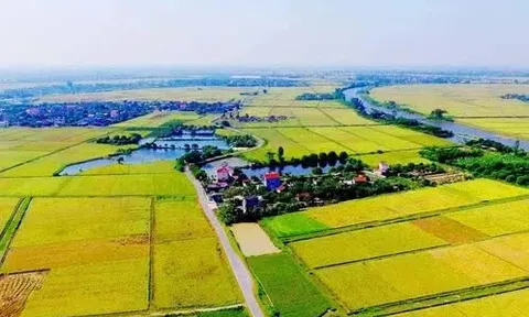 Ngày 30/5, hạn cuối nộp giấy đề nghị gia hạn tiền thuế, tiền thuê đất