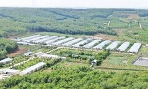 Doanh nghiệp tăng lợi thế từ xanh hóa hoạt động sản xuất