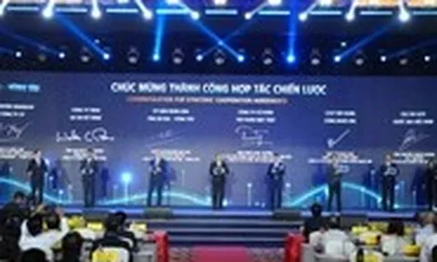 Bà Rịa - Vũng Tàu: Hợp tác, phát triển hàng loạt dự án hạ tầng