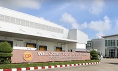 Hé lộ doanh thu khủng của 'đế chế chăn nuôi' C.P tại Việt Nam