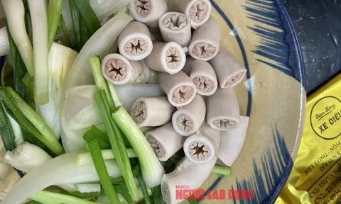 Hai tiệm lòng xe điếu ở TP HCM bị xử phạt
