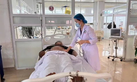 7 người nhập viện sau khi ăn lẩu cùng nấm, có trường hợp tổn thương gan thận