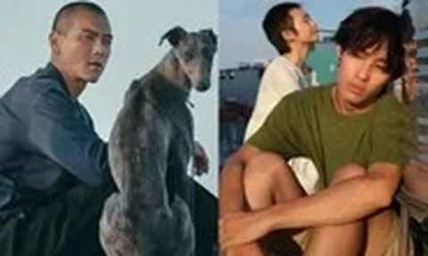 Hắc Cẩu đấu Mưa trên cánh bướm ở Liên hoan phim châu Á Đà Nẵng