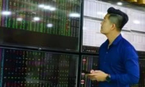 'Cá mập' đang bỏ lỡ cơ hội kiếm tiền từ thị trường chứng khoán?