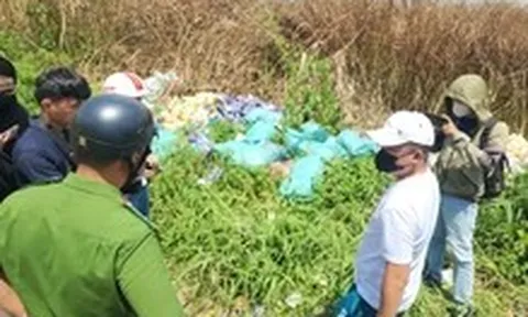 Cận cảnh nơi phát hiện hàng ngàn hộp thực phẩm chức năng đổ đống tại TP.HCM
