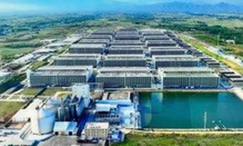 Đề xuất xây hai dự án 'chung cư 6 tầng' nuôi heo đầu tiên tại Việt Nam