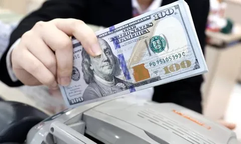 Lưu ý: Những điều cần biết về giao dịch USD tại Việt Nam để vừa có lợi lại không bị phạt nặng
