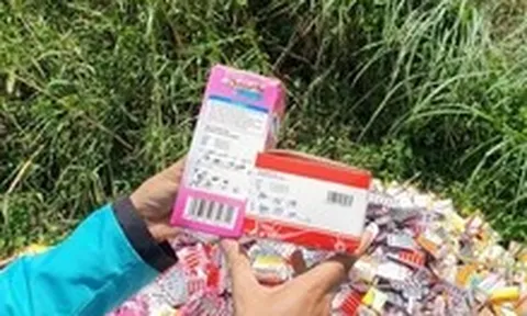Phải làm cho ra lẽ vụ hàng ngàn hộp thực phẩm chức năng đổ đống ở vùng ven TP.HCM như 'đổ rác'