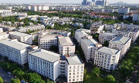Tín dụng ưu đãi cho người trẻ an cư, lạc nghiệp