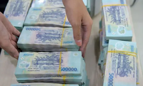 Doanh nghiệp bảo hiểm lớn nhất Việt Nam muốn chi gần 800 tỷ trả cổ tức tiền mặt cho cổ đông