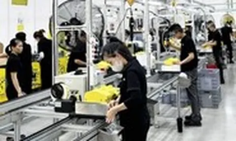 Rà soát nhu cầu việc làm cho người hoạt động không chuyên trách cấp xã sau nghỉ việc