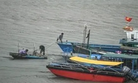 Thời tiết hôm nay 10-6: Bắc Biển Đông áp thấp, Bắc Bộ, Nam Bộ mưa to