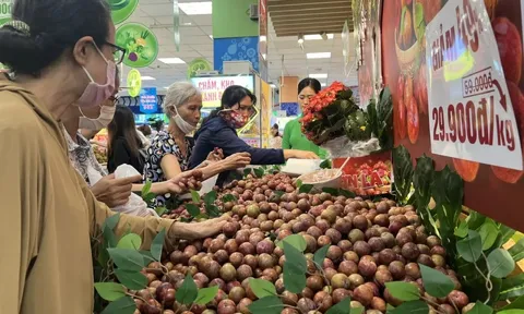 Bất ngờ với giá mận hậu vào mùa ở TPHCM