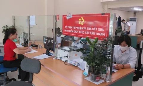 Mở ‘luồng xanh’ cho hoa quả tươi qua Lạng Sơn sang Trung Quốc
