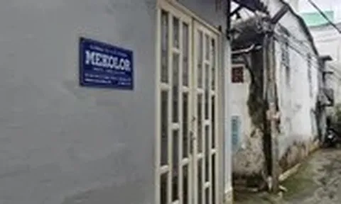 Công ty Mekolor đề xuất làm đường sắt tốc độ cao 100 tỉ USD từng báo lãi... 1 triệu đồng