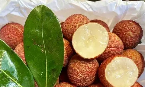 Vải thiều Trung Quốc 'đổ bộ' chợ Việt, giá cao không tưởng