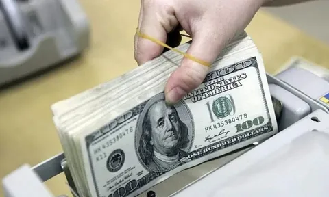 Ngày 12/6: Tỷ giá trung tâm tăng 8 đồng sau hai phiên giảm liên tiếp