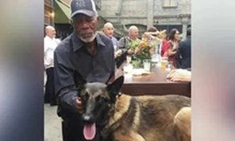 Thông tin diễn viên Morgan Freeman chi 11 triệu USD cứu chó hoang là bịa đặt