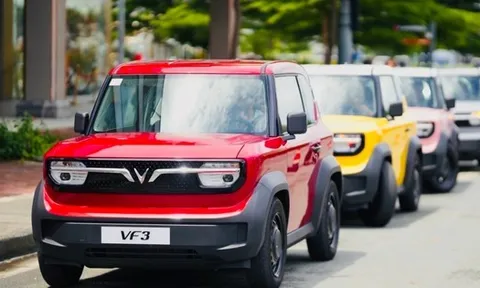 VinFast VF 3, VF5 đứng top đầu thị trường - có phải đã đánh trúng 'gu' của khách Việt?