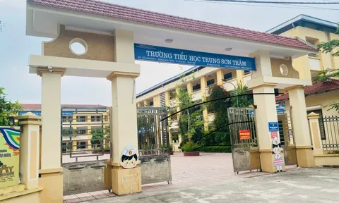 Giáo viên đánh bảo vệ, bị tố quấy rối đồng nghiệp nữ được trở lại trường làm việc?
