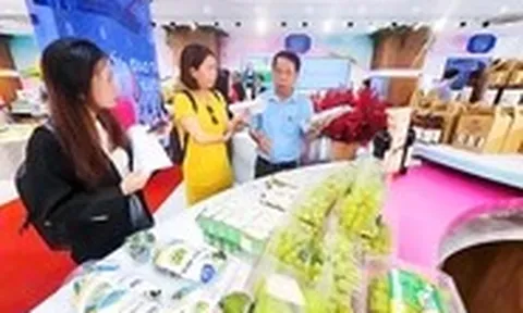 Ninh Thuận mang đặc sản đến TP.HCM 'chào hàng', tìm kiếm đối tác