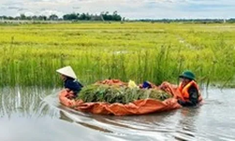Bộ đội, người dân Huế oằn mình khắc phục mưa lũ