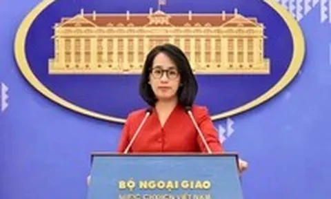 Việt Nam xác nhận trở thành nước đối tác của nhóm BRICS