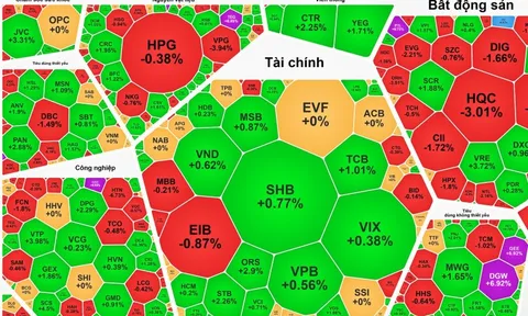 Cổ phiếu Vingroup đảo chiều tăng, VN-Index lấy lại mốc 1.315 điểm