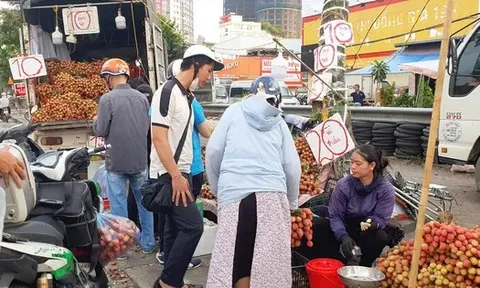 Mùa vải chín