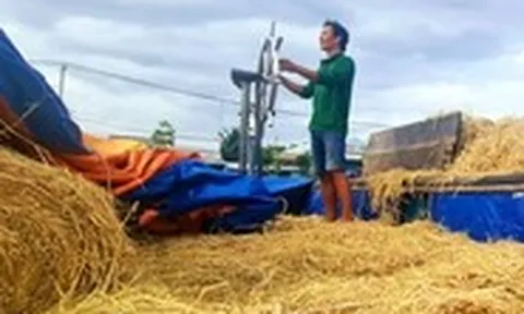 Thương hồ theo những mùa rơm