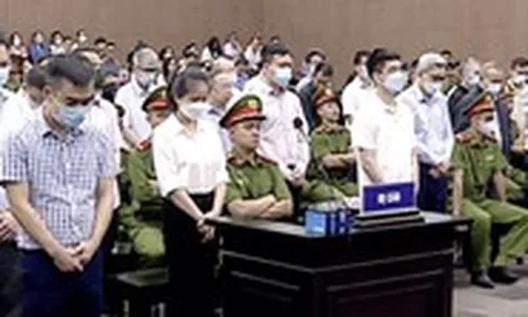 Tuyên án phúc thẩm vụ 'chuyến bay giải cứu' giai đoạn 2